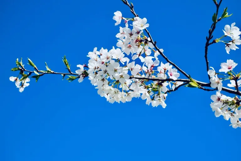 Reflexões sobre uma profissão em mudança