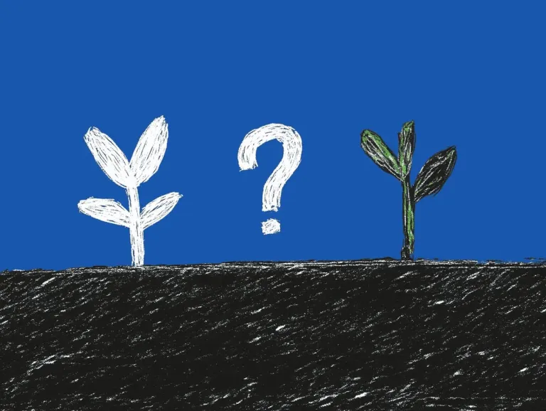 How to build effective team check-in questions