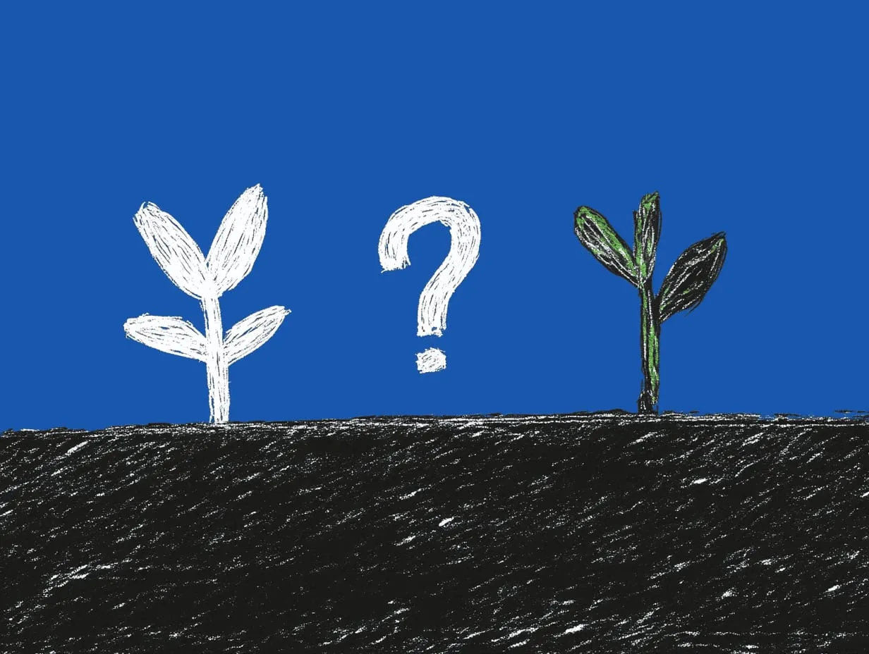 Como construir perguntas eficazes para check-ins de equipe